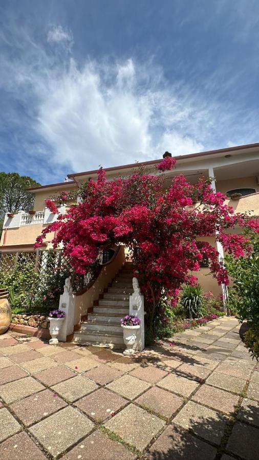 Casa Vacanze La Brii Iglesias Exterior photo